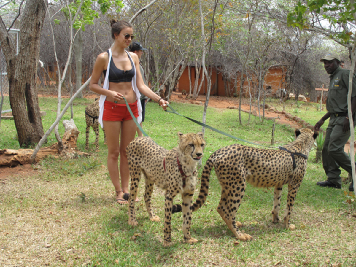 animals-irina.jpg